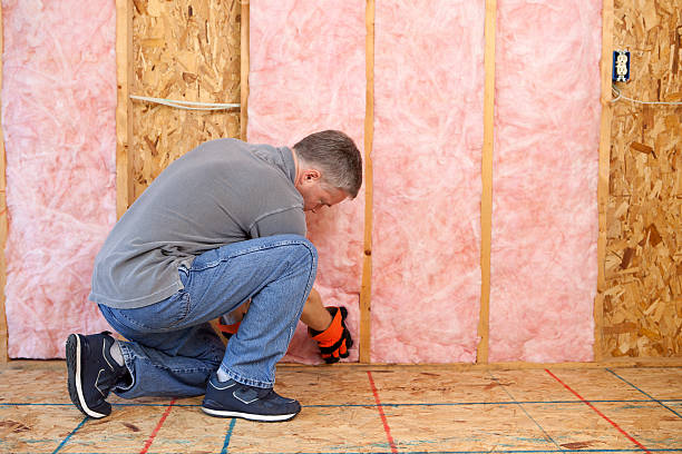 Best Eco-Friendly Insulation in Estill, SC