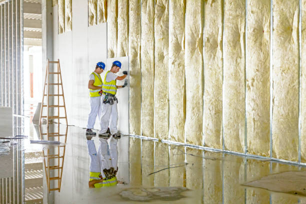 Best Spray Foam Insulation in Estill, SC